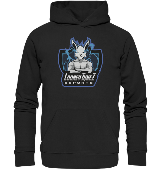 LOONEY TUNEZ - Basic Hoodie