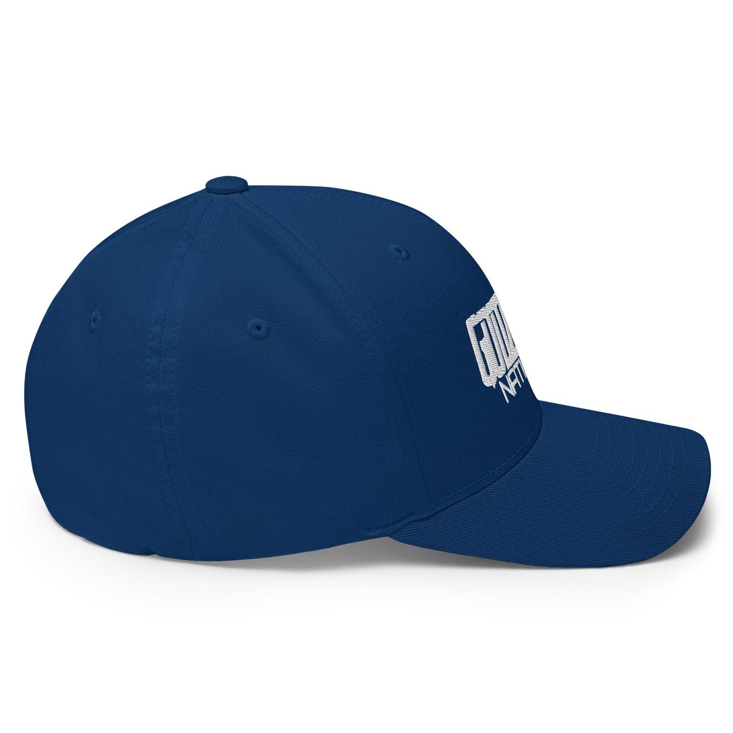 GODZILLA NATION - Flexfit Cap