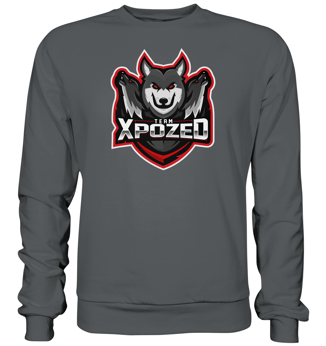 TEAM XPOZED - Basic Sweatshirt