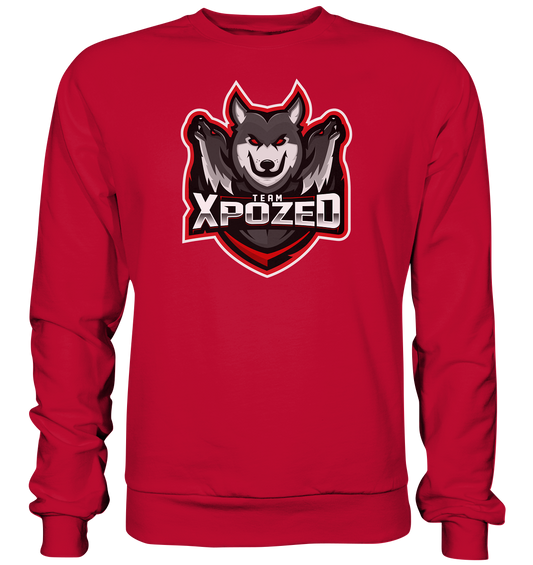 TEAM XPOZED - Basic Sweatshirt