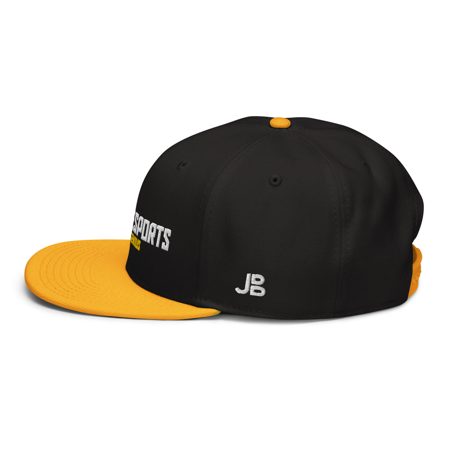 CHAOS ESPORTS - Snapback Cap - Team Genius
