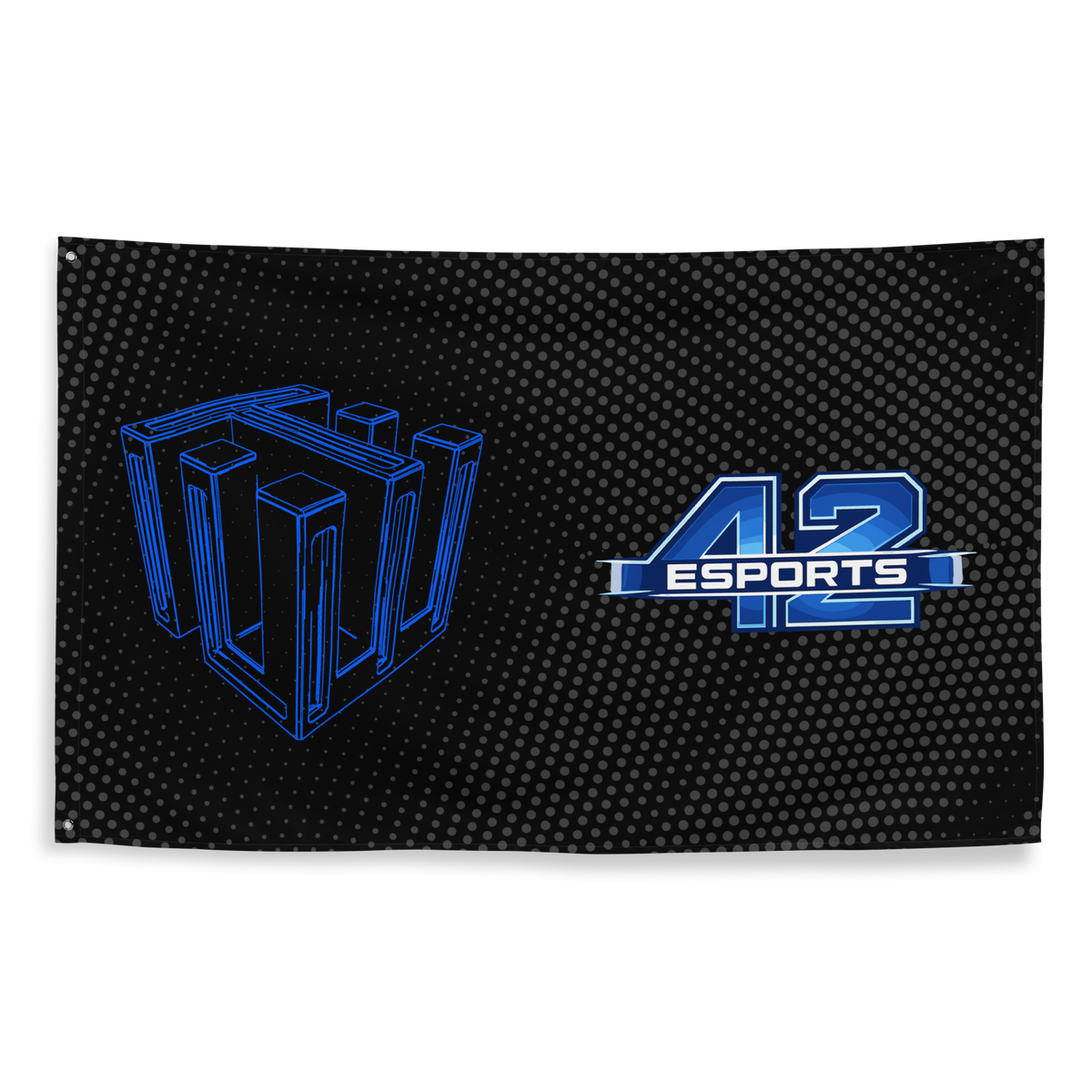 FOURTYTWO ESPORTS - Flagge