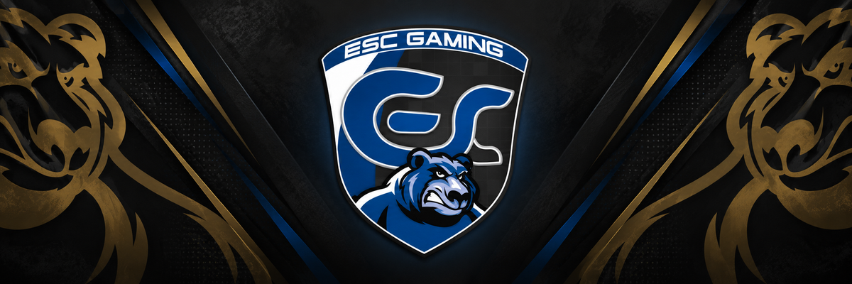 ESC GAMING