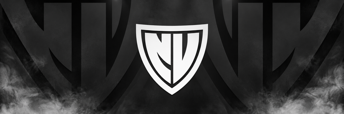NEW VISION ESPORTS
