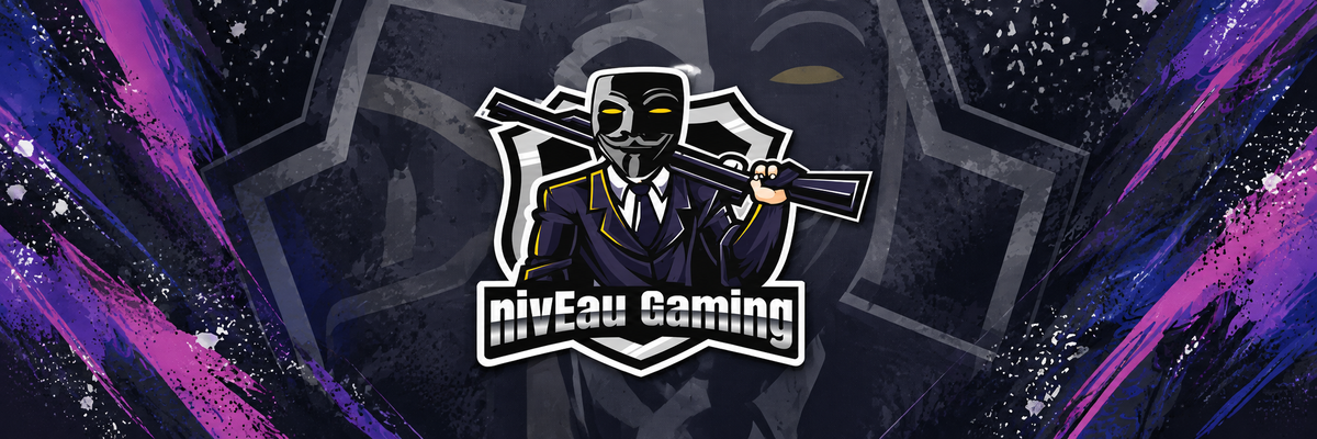 NIVEAU GAMING