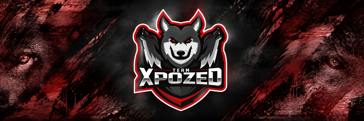 TEAM XPOZED