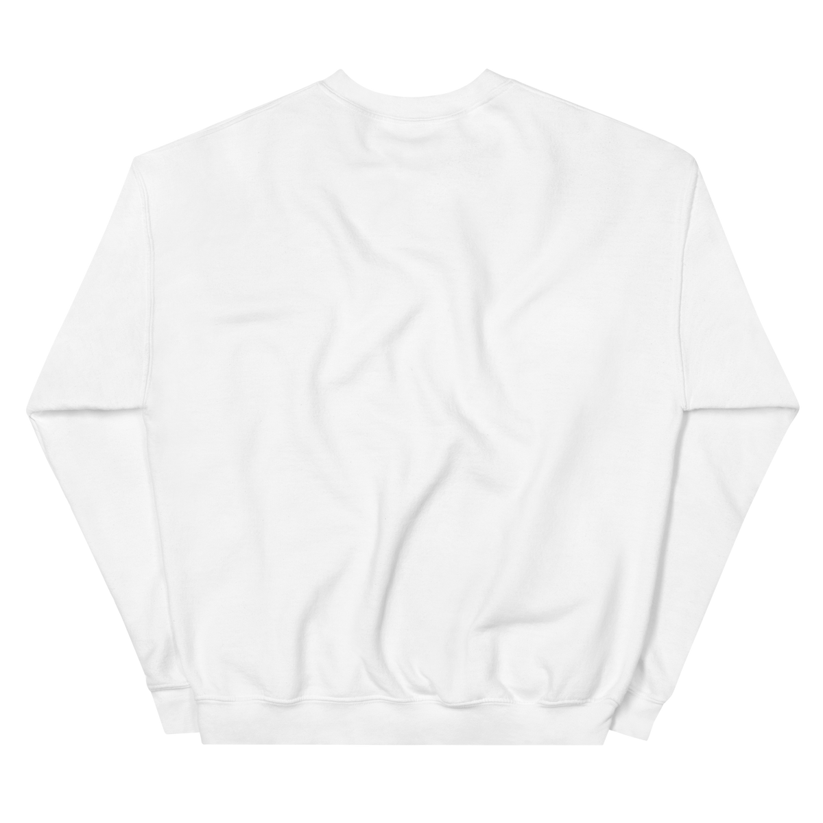 NOOB RACING TEAM Basic Sweatshirt 2026 – Weiß, Rückansicht