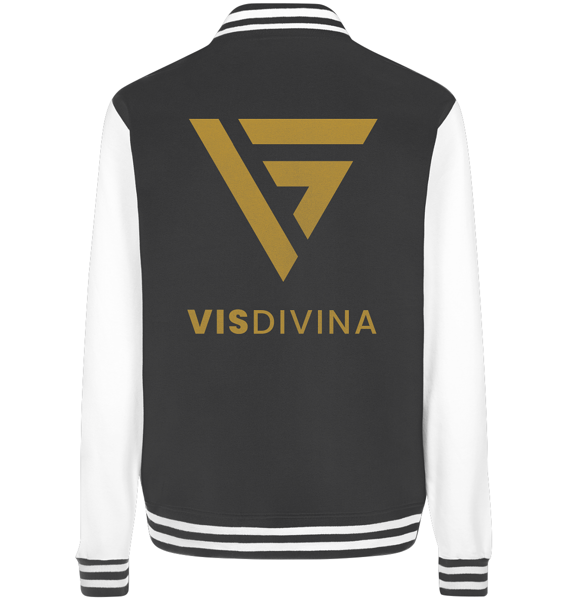 VISDIVINA - Basic College Jacke